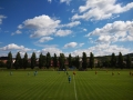 IMG_20160730_103243 IMG_20160730_103243